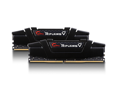 G.SKILL Ripjaws V 32GB (2 x 16GB) DDR4 3200 (PC4 25600) Desktop Memory, F4-3200C16D-32GVK