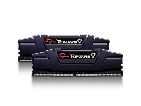 G.SKILL Ripjaws V 16GB (2 x 8GB) DDR4 3600 (PC4 28800) Intel XMP 2.0 Desktop Memory, F4-3600C16D-16GVKC