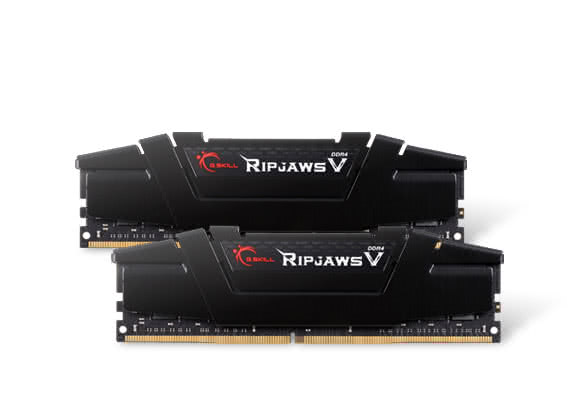 G.SKILL Ripjaws V Series 32GB (2 x 16GB) DDR4 3200 (PC4 25600) Desktop Memory