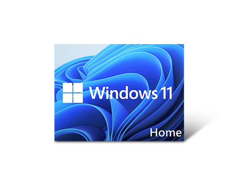 Microsoft Windows 11 Home 64-bit - OEM