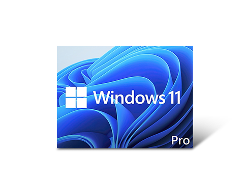 Microsoft Windows 11 Pro 64-bit - OEM