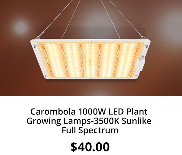 Carombola 1000W LED Plant Growing Lamps-3500K Sunlike Full Spectrum