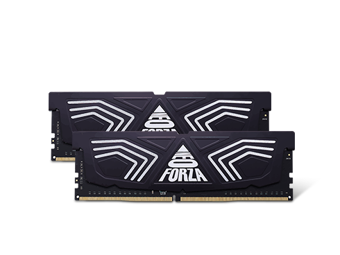 Neo Forza FAYE 32GB (2x16GB) 288-Pin DDR4 3600 (PC4 28800) SDRAM Desktop Memory Model NMUD416E82-3600DG20