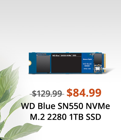 Western Digital WD Blue SN550 NVMe M.2 2280 1TB PCI-Express 3.0 x4 3D NAND Internal Solid State Drive (SSD) WDS100T2B0C