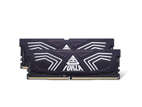 Neo Forza FAYE 32GB (2x16GB) 288-Pin DDR4 3600 (PC4 28800) SDRAM Desktop Memory Model NMUD416E82-3600DG20