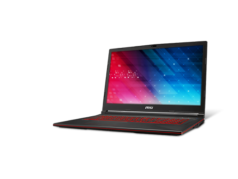 MSI Intel Core i5-9300H (2.4 GHz) 17.3" FHD Gaming Laptop, GTX 1050 Ti, 8GB Memory, 256GB SSD