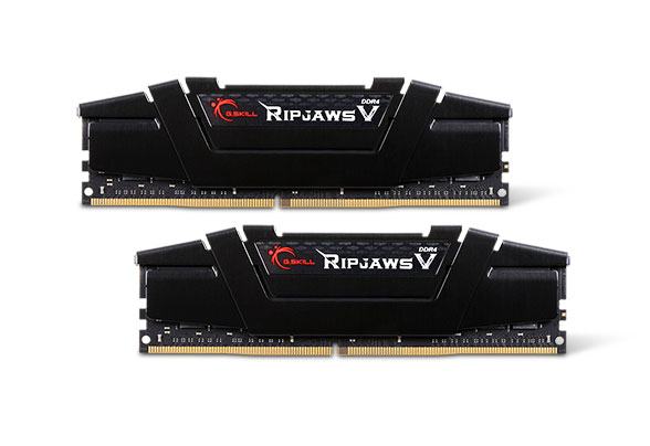 G.SKILL Ripjaws V Series 32GB (2 x 16GB) DDR4 3200 (PC4 25600) Desktop Memory