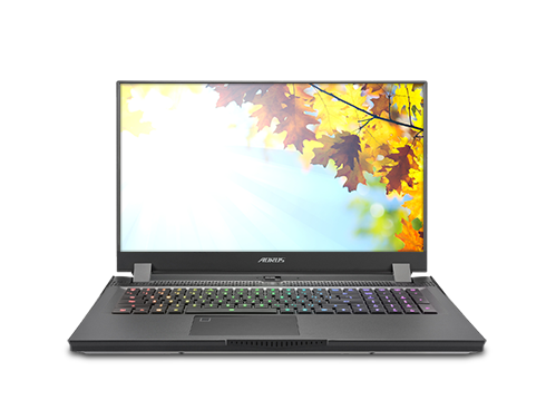 GIGABYTE AORUS 17G XD - 17.3" FHD IPS Anti-Glare 300Hz, Intel Core i7 11th Gen 11800H, NVIDIA GeForce RTX 3070, 8GB GDDR6, 16GB Memory, 512GB SSD, Win10 Home, Gaming Laptop (AORUS 17G XD-73US325SH)