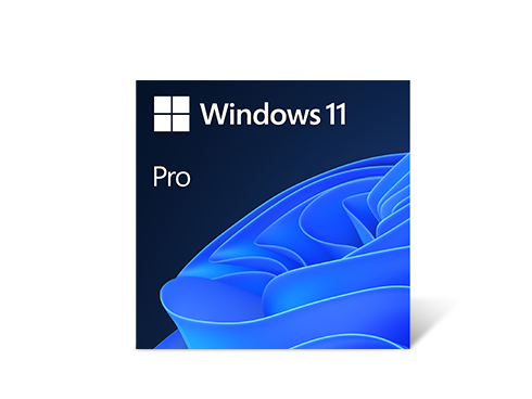 Microsoft Windows 11 Pro 64-bit, DVD