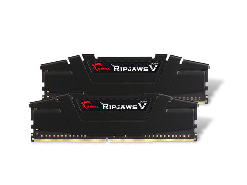 G.SKILL Ripjaws V 16GB (2 x 8GB) DDR4 3200 (PC4 25600) Desktop Memory, F4-3200C16D-16GVKB