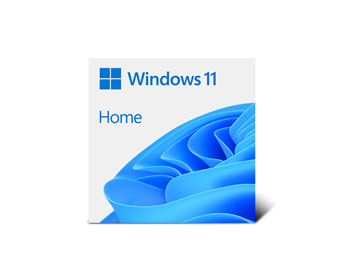 Microsoft Windows 11 Home 64-bit, DVD