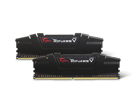 G.SKILL Ripjaws V Series 16GB (2 x 8GB) DDR4 3200 (PC4 25600) Desktop Memory, F4-3200C16D-16GVKB