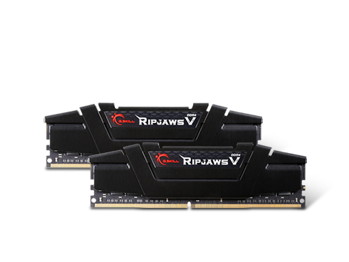 G.SKILL Ripjaws V Series 32GB (2 x 16GB) 288-Pin DDR4 SDRAM DDR4 3200 (PC4 25600) Desktop Memory Model F4-3200C16D-32GVK