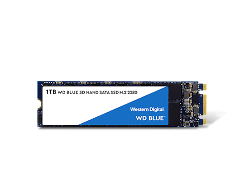 WD Blue 3D NAND 1TB Internal SSD - SATA III 6Gb/s M.2 2280 Solid State Drive - WDS100T2B0B