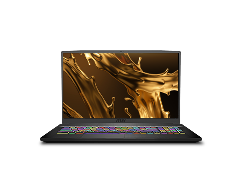 MSI GF75 Thin 10UEK-048 - 17.3" 144 Hz IPS - Intel Core i7-10750H - NVIDIA GeForce RTX 3060 Laptop GPU 6 GB GDDR6 - 16 GB Memory - 512 GB NVMe SSD + 1 TB HDD - Windows 10 Home - Gaming Laptop