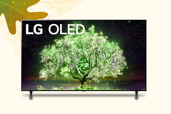 Get up to $250 Visa Gift Card + 3 Year Protection Plan on select LG OLED TVs!