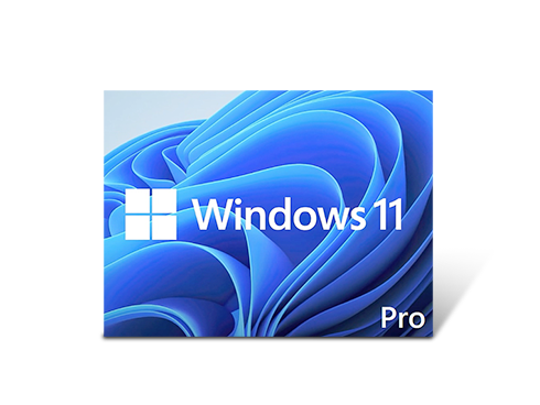 Microsoft Windows 11 Pro 64-bit