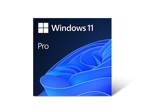 Microsoft Windows 11 Pro 64-bit