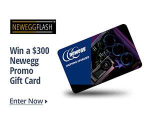 Win a $300 Newegg Promo Gift Card