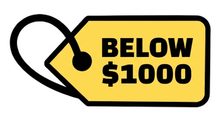 below 1000 dollars