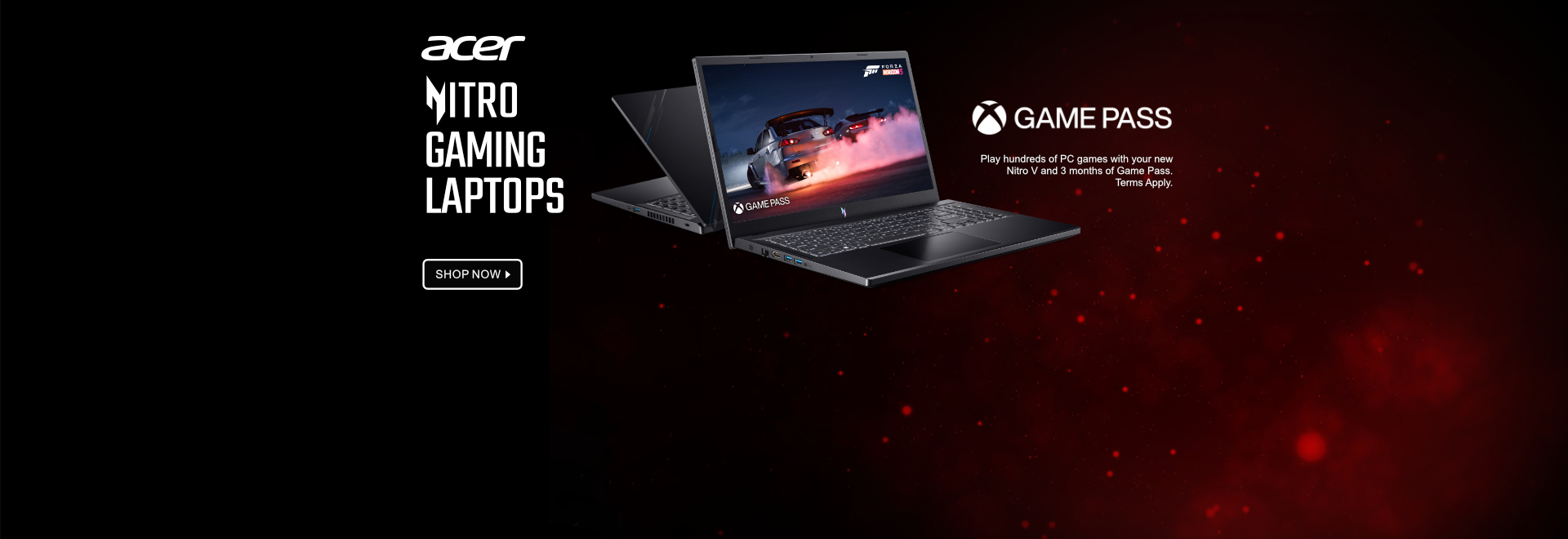 ACER Nitro Gaming Laptop