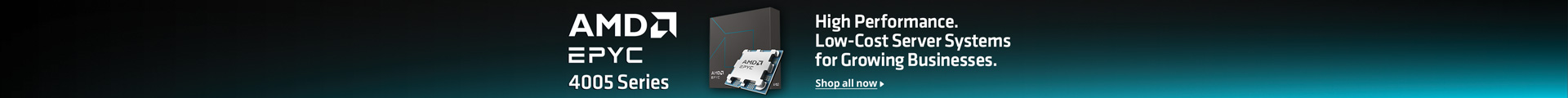 AMD 4005 EPYC