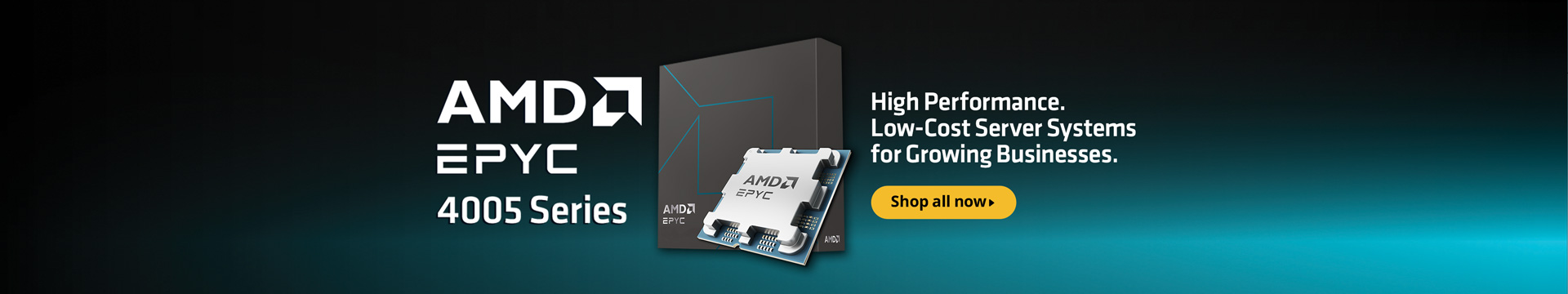 AMD 4005 EPYC
