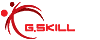 G-SKILL
