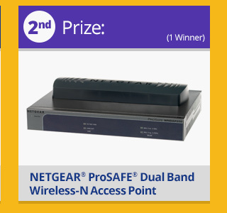Second Prize: Netgear ProSAFE Dual Band Wireless-N Access Point