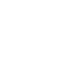 icon processor