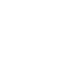 icon solid state drive