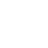 icon support