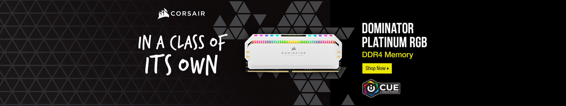 Dominator Platinum RGB