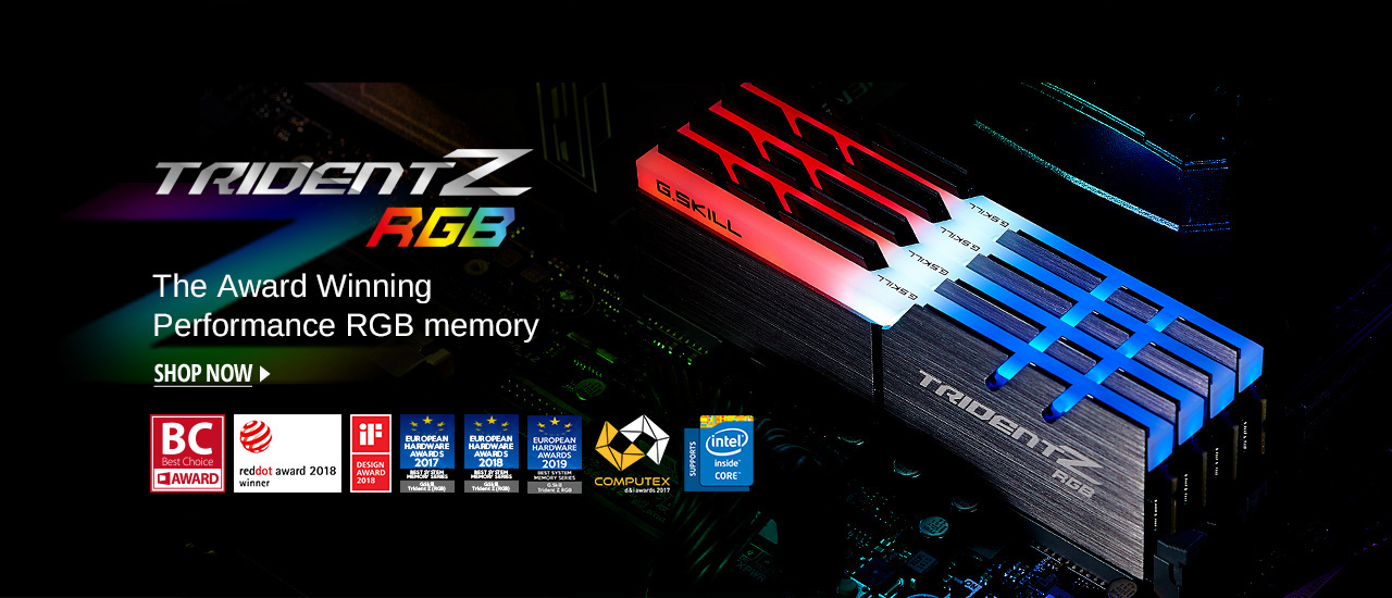 G.SKILL - RAM & Memory for Desktops, Laptops, Flash & More | Brand Store -  Newegg