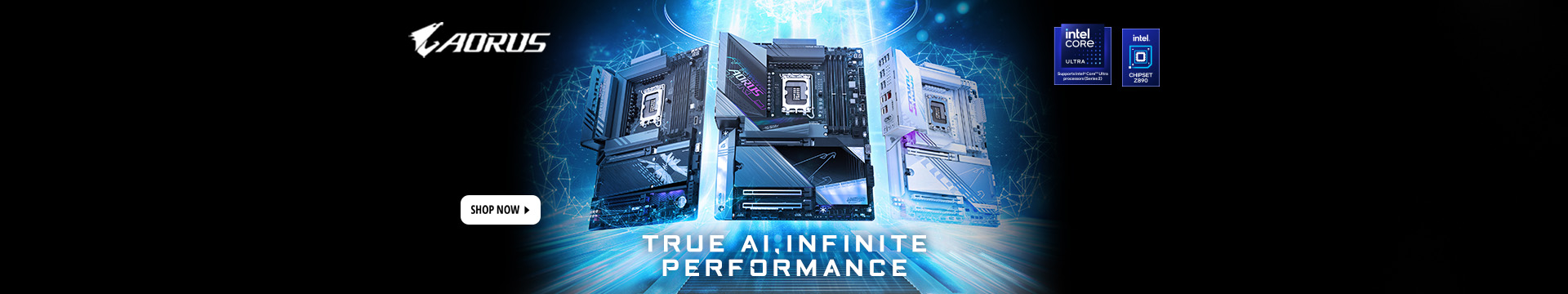 AORUS