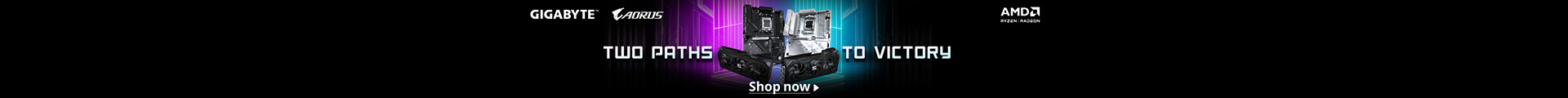 GBT AMD VGA MB Combo