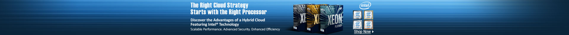 Intle Xeon Scalable Processor