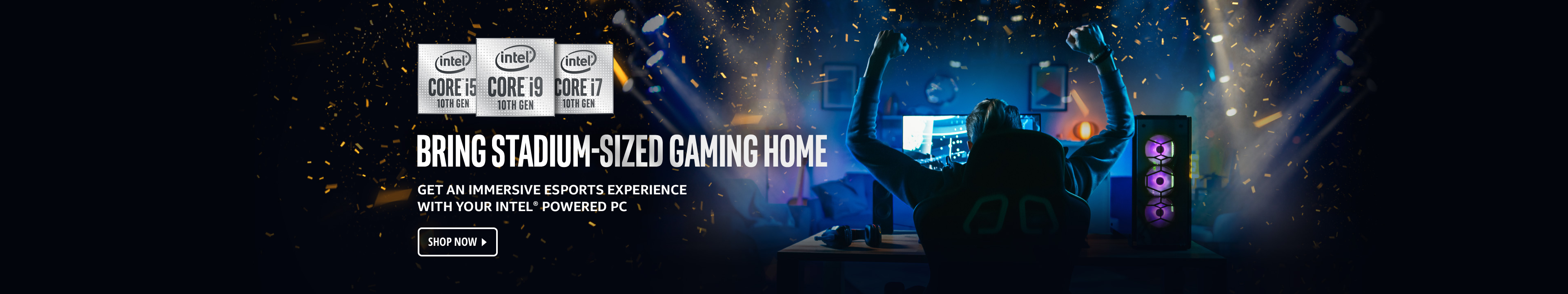 BRING STADIUM-SIZED GAMING HOME