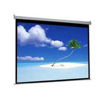 100 Projector Screen 16:9 Projection HD (2 Options)