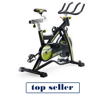 ProForm 320 SPX Indoor Cycle Exercise Bike