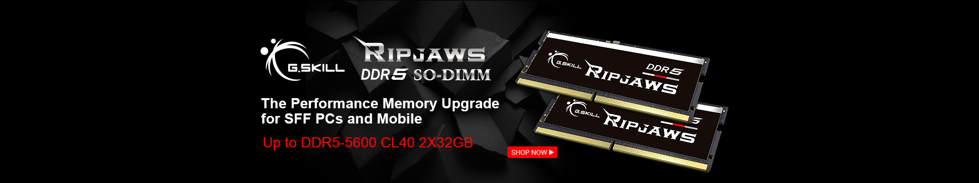 The performance memory Upgrade for SFF PCs and Mobile