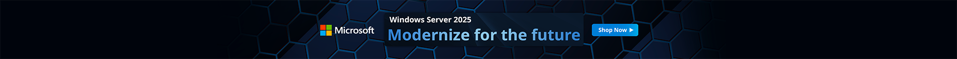 Microsoft Windows Server 2025