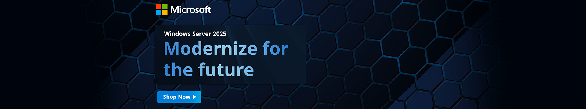 Microsoft Windows Server 2025