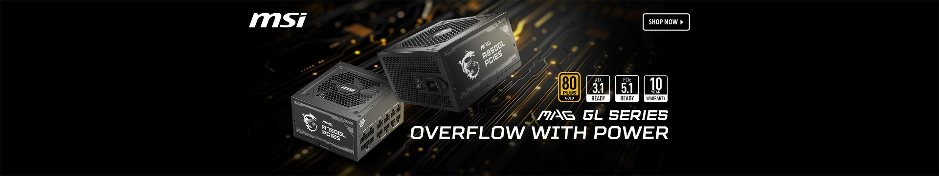 MSI Overflow with Power PSU