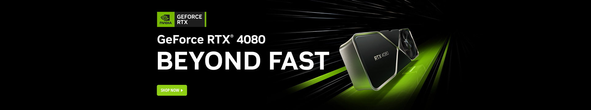RTX 4080 Video Cards
