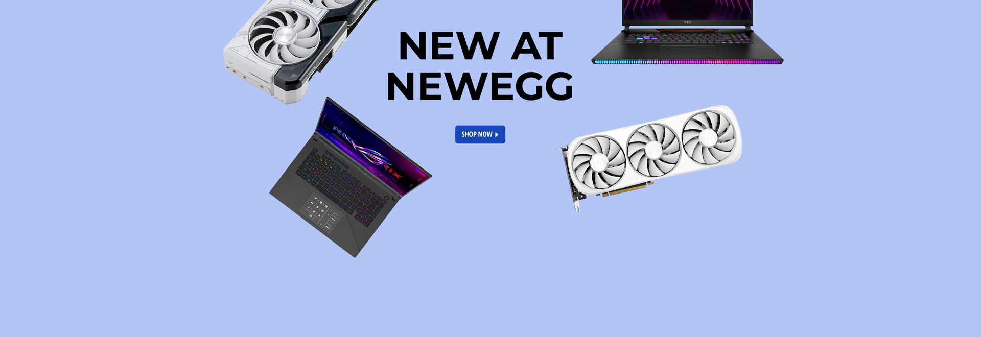 New at Newegg