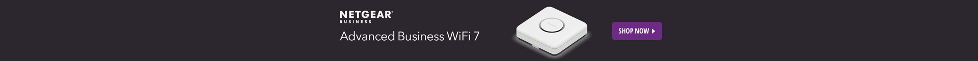 Netgear AP