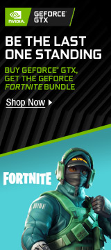 FORTNITE BE THE LAST ONE STANDING