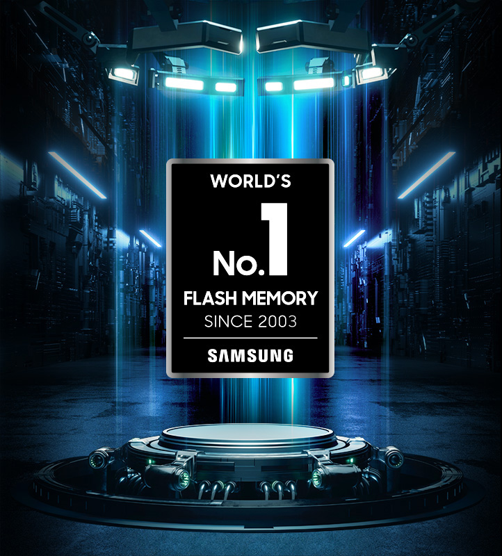 World's No. 1 Flash Memory Brand