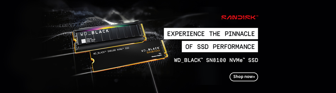 Sandisk